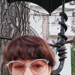 ���� �����, �����������, 56 ��� - ��������� 17 ������� 2023