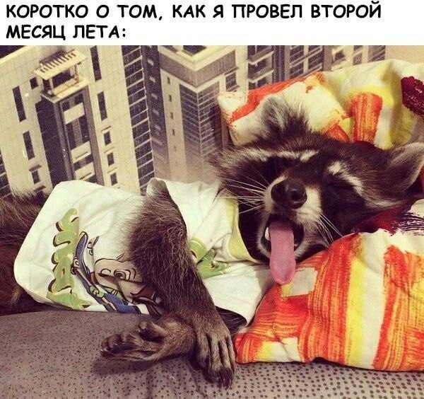    - 8  2023  09:31