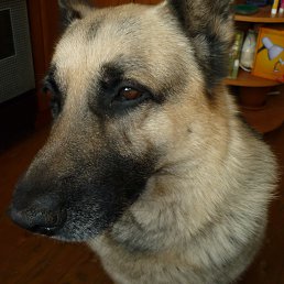 ���� ������, ������, 74 ���� - ��������� 3 ������� 2022