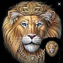  King, , 40  -  29  2023    