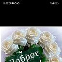 ���� �������, ����, 71 ��� - ��������� 14 ������ 2023