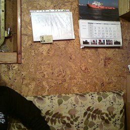 �����, ���������