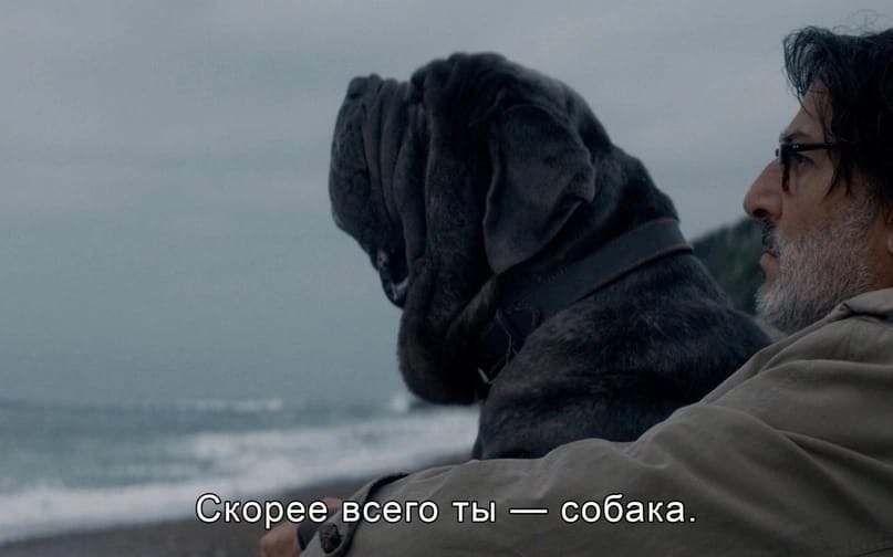!     - 5