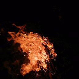 ����, ������, 33 ����