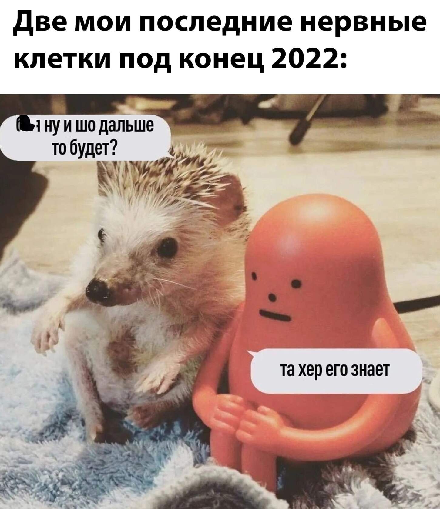 ***Victoria Viktorovna*** - 18  2022  05:28
