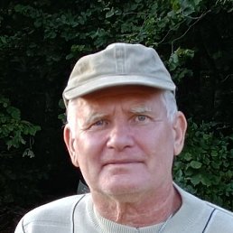 ��������, ����������, 62 ����