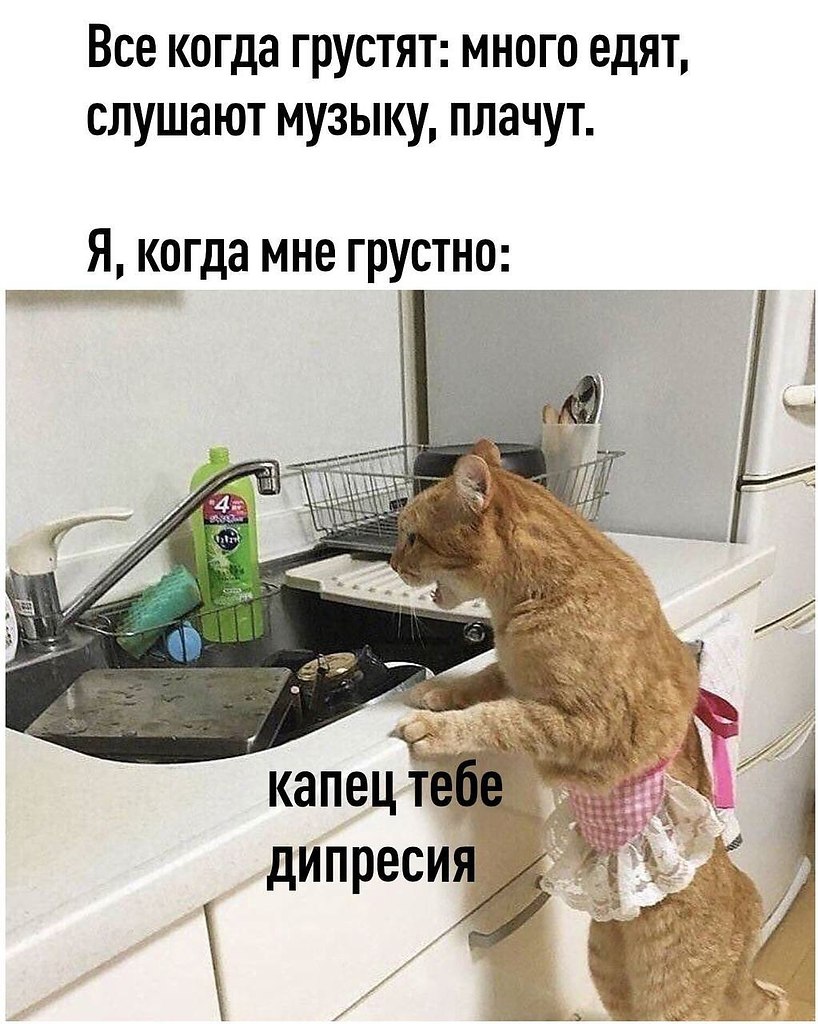    - 2  2023  06:39