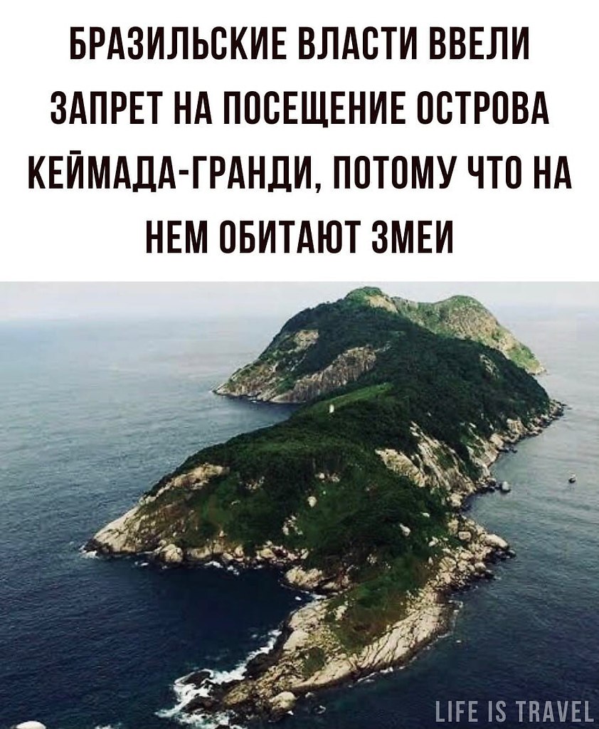 LIFE -  - 8  2022  13:31