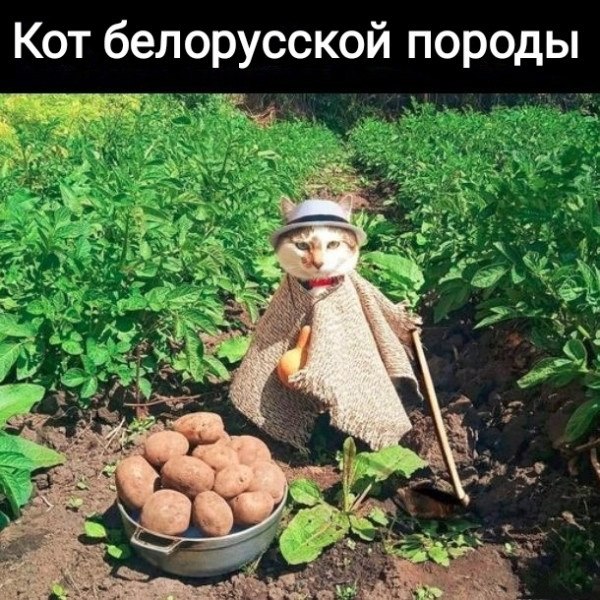   - 6  2022  08:29