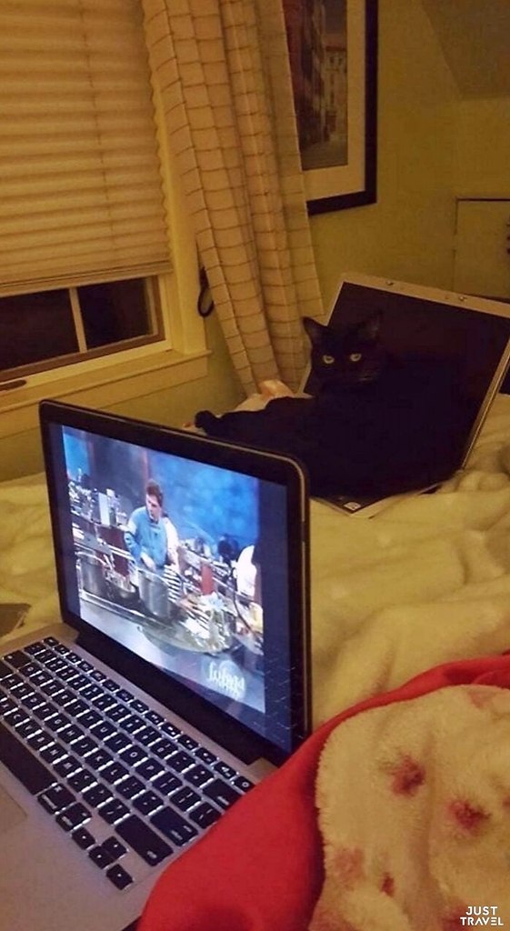 �a�o�����e �o��e�a �o�a�a�� �����e c�oco�� ���a�o�a�� c�oe�o ���o��a. p�� �� �a���c� �o�� o��� ... - 6