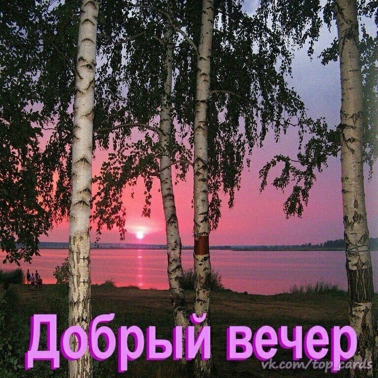   ,    . - 24  2022  17:17 - 4