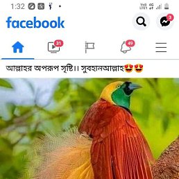 Deny, ��������, 32 ����