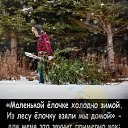 ���� ��������, ������ - ��������� 12 ������� 2022 � ������ ������ ��������