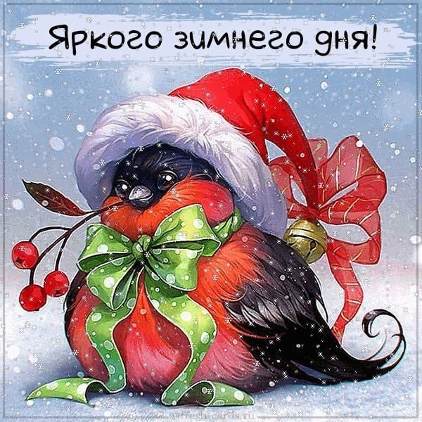   ,    . - 5  2023  12:23 - 4