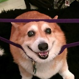 ����, �����, 30 ���