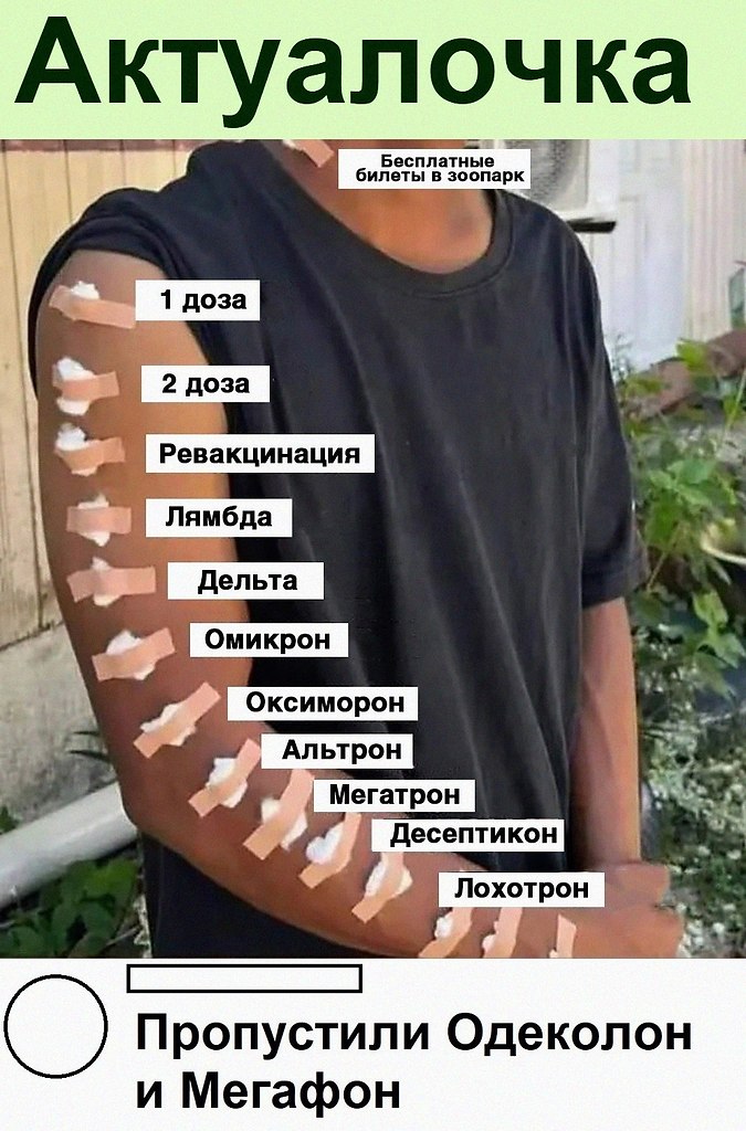   :D - 8  2022  12:34