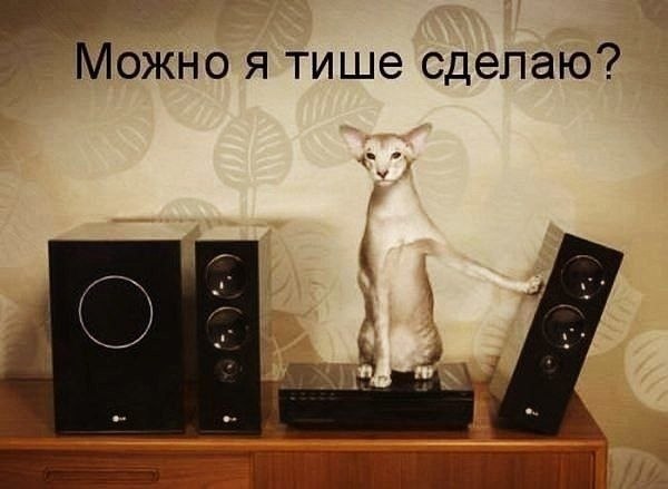    - 6  2022  07:39