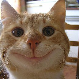 ����, ����, 59 ���