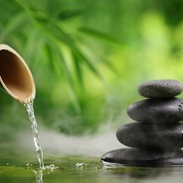 ������, ������������, 46 ���