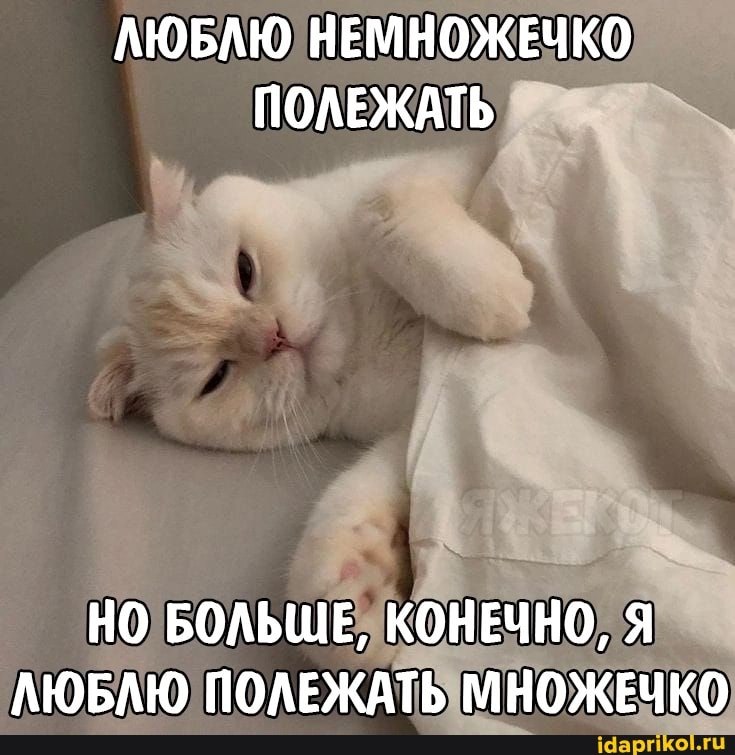   - 29  2022  23:29