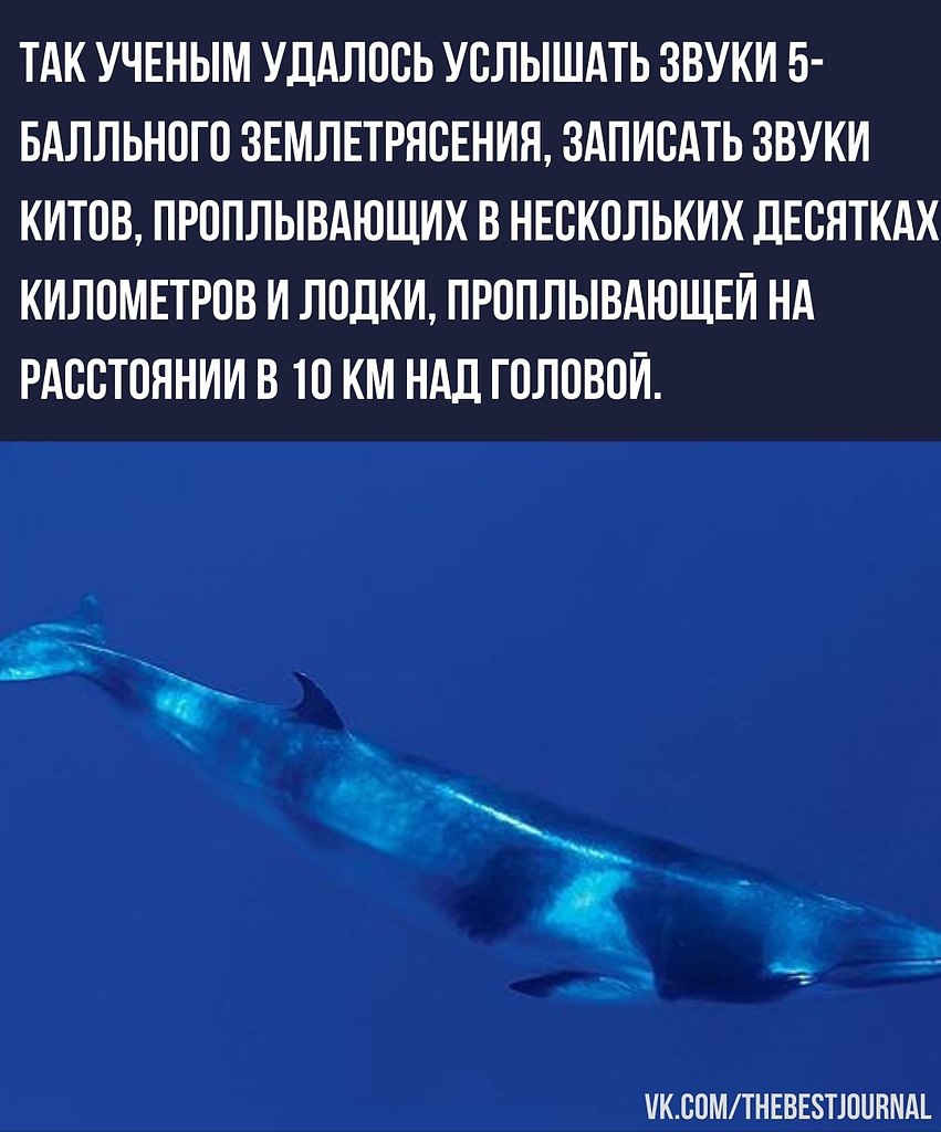 BEST | , ,  - 9  2022  15:17 - 4