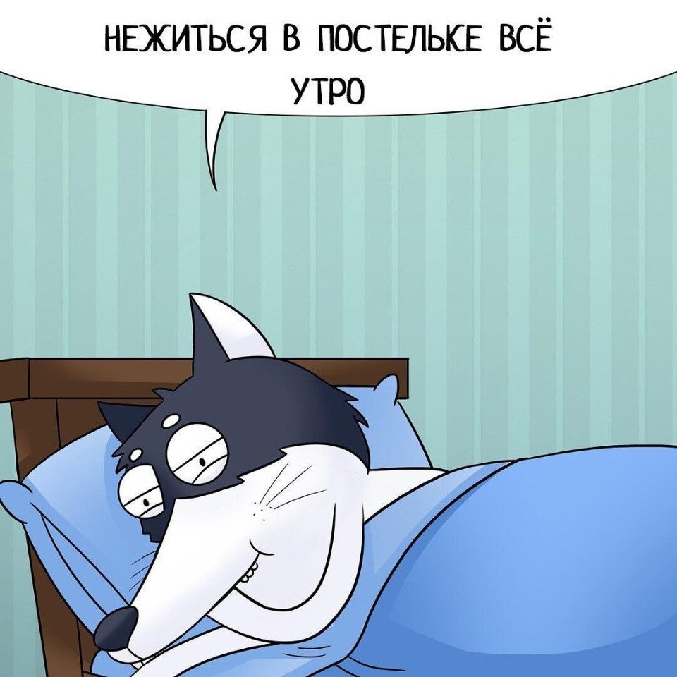         .     ,      - 5