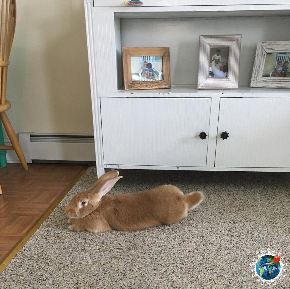 o ac  aac a o e oec ece poc  ca eo oo.  ... - 3