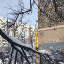 ���� ������, ���������, 55 ��� - ��������� 23 �������� 2022