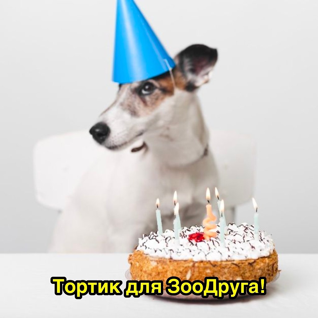   - 20  2022  19:05
