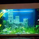 ���� ������, ��������, 53 ���� - ��������� 22 ������� 2022