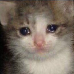 Aleksandra, �����, 25 ���