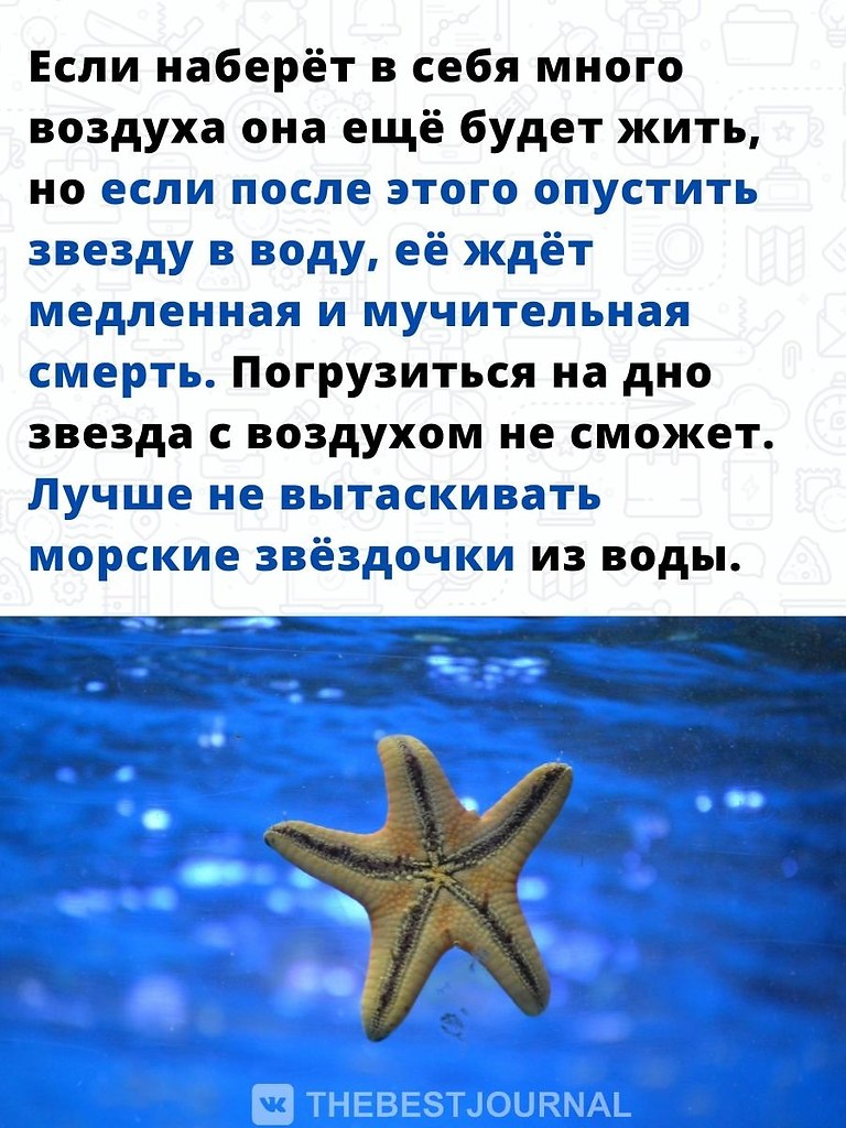 ������, ����� ������� ��� ������ ���� ������� ������, ������ - ������ ����� ��� ������ ����� �����. - 3