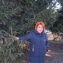 ���� ��������, ������, 61 ��� - ��������� 20 ����� 2022 � ������ ���� ����������