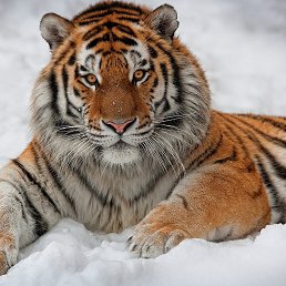 ���� �������, ������, 48 ��� - ��������� 30 ������ 2022