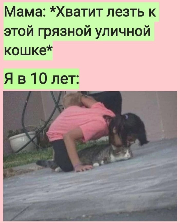   :D - 17  2022  10:42