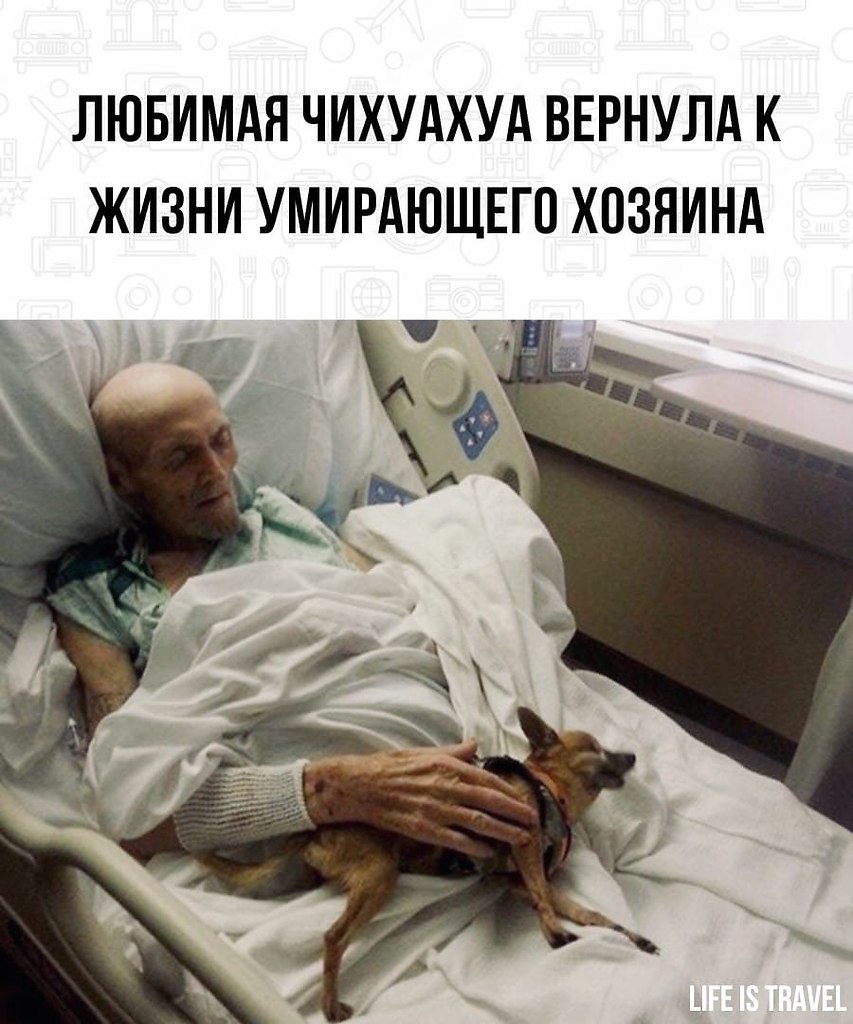 BEST | , ,  - 7  2022  22:14