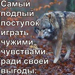 ������, ���������, 46 ���