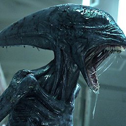 Mr., ������������, 37 ���