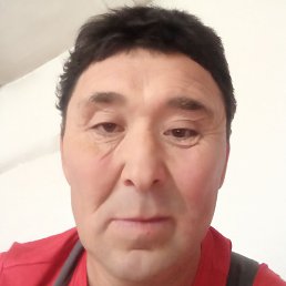 �����, �������, 44 ����