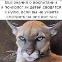 ���� �����, ������ - ��������� 18 ������� 2022 � ������ ������ ��������