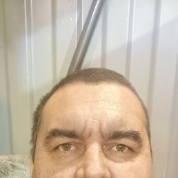 , 44 , 