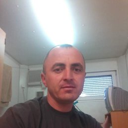  Paata, , 43  -  23  2022
