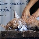 ���� �����, ���, 53 ���� - ��������� 11 ������� 2022 � ������ ������ ��������