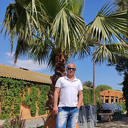 Yaness, , 47 