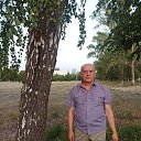 ��������� ���� ���� 22 ���� �� ������� ���� ����������