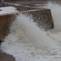 ��������, �����������, 35 ���