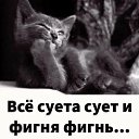 ���� �����, ��� - ��������� 12 ������� 2022 � ������ ������ ��������