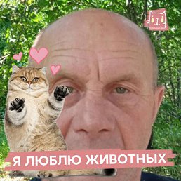 , , 63 
