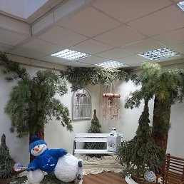 �����, �����, 86 ���