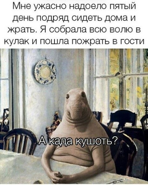 ***Victoria Viktorovna*** - 5  2023  16:53
